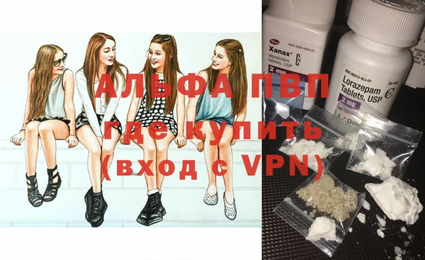 индика Михайлов