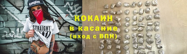 индика Михайлов